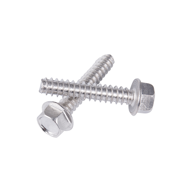 C1022A SUS410 SUS304 SUS316 Flat Tail Itsekapparruuvi