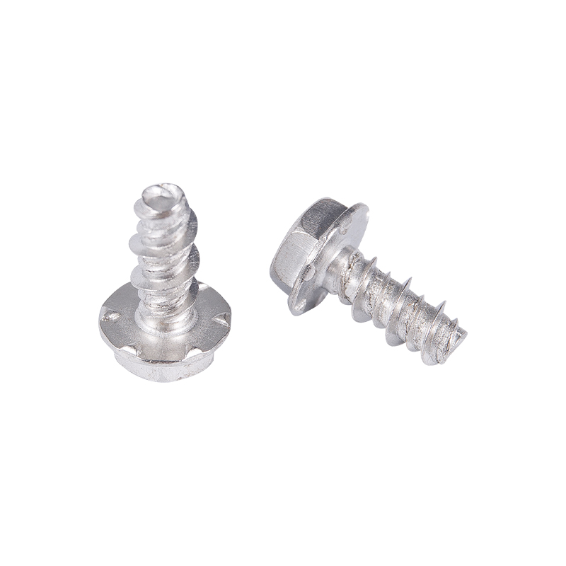 C1022A SUS410 SUS304 SUS316 Flat Tail Itsekapparruuvi